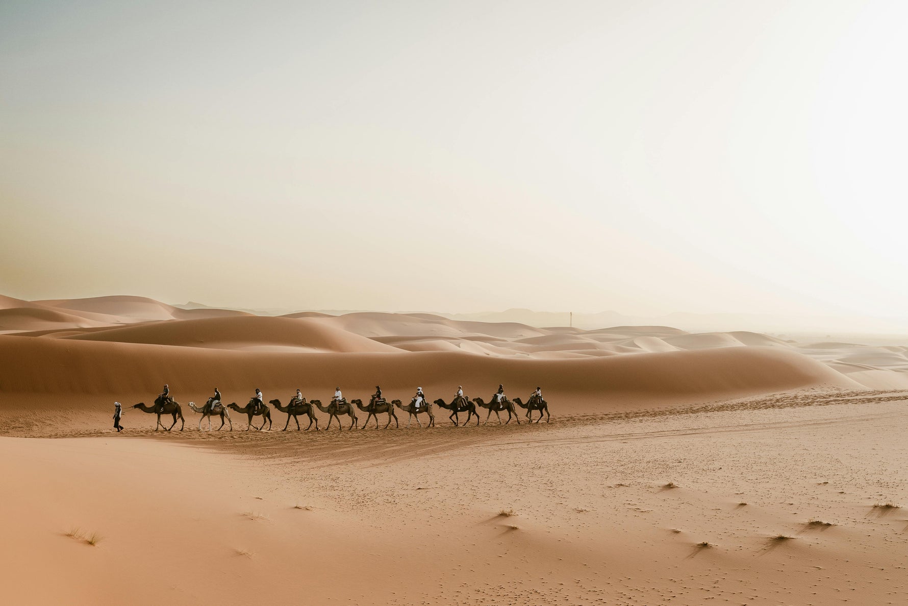 Unwind and Adventure in Dubai’s Nearby Desert Oasis